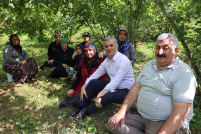 BAŞKANIMIZ FINDIK HASADI YAPAN HEMŞEHRİLERİMİZLE BİR ARAYA GELDİ