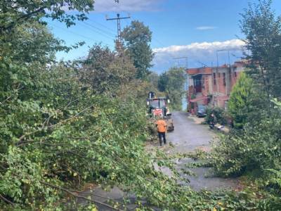 BELEDİYE EKİPLERİMİZ TARAFINDAN GERÇEKLEŞTİRİLEN YOL TEMİZLEME ÇALIŞMALARIMIZ